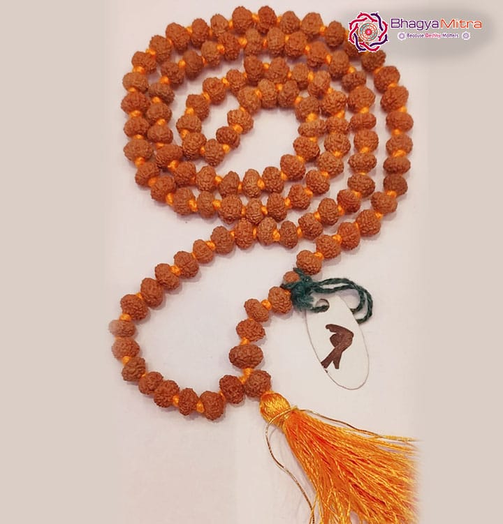 7 Face Rudrakash Mala 108 Beads